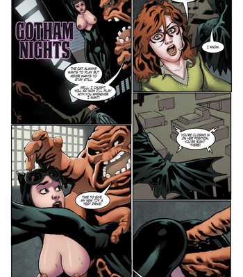 Porn Comics - Gotham Nights Cartoon Porn Comic