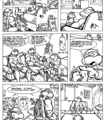 Teenage Mutant Ninja Turtles Porn Comic 002 