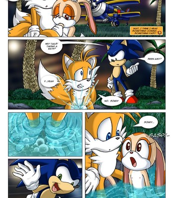 Sonic Project XXX 1 Porn Comic 009 