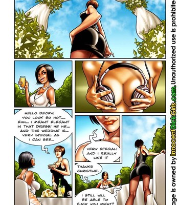 The Wedding Porn Comic 003 
