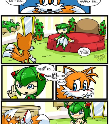 Tails And Cosmo's First Time Porn Comic 004 