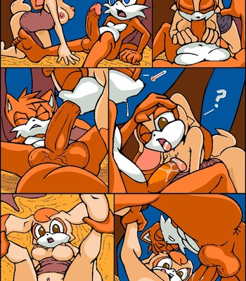 Tails Mishap Paradice Porn Comic 014 