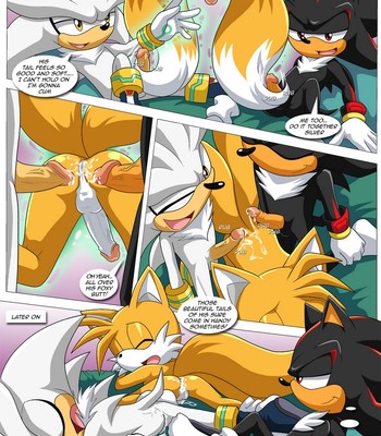 Shadow And Tails Porn Comic 011 