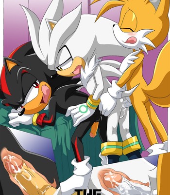 Shadow And Tails Porn Comic 012 