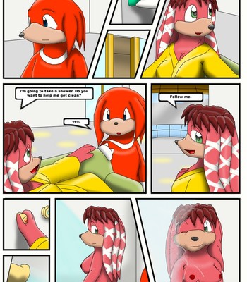 Knuckles And Lara-Le's Shower Porn Comic 002 
