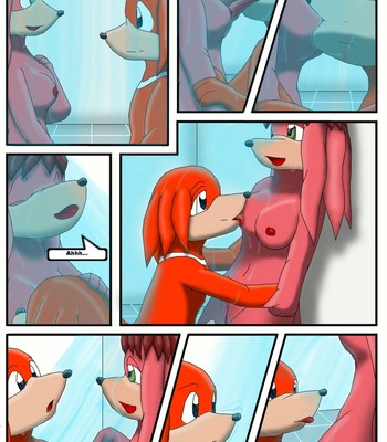 Knuckles And Lara-Le's Shower Porn Comic 003 