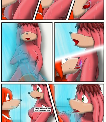Knuckles And Lara-Le's Shower Porn Comic 004 