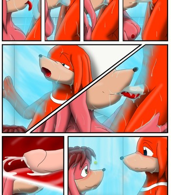 Knuckles And Lara-Le's Shower Porn Comic 005 