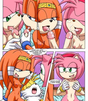 Sonic Project XXX 3 Porn Comic 020 