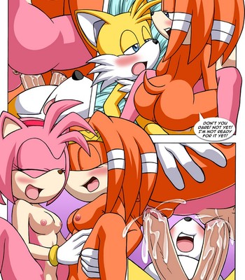 Sonic Project XXX 3 Porn Comic 023 