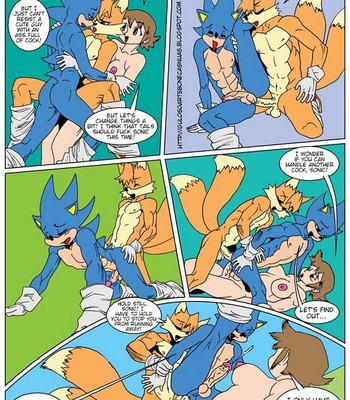 Sonic XXX Porn Comic 016 