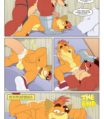 A Day In The Life Of Crash Bandicoot Porn Comic 004 