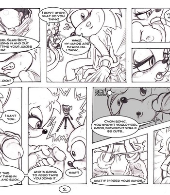 Rouge's Ploy For Fun Porn Comic 002 