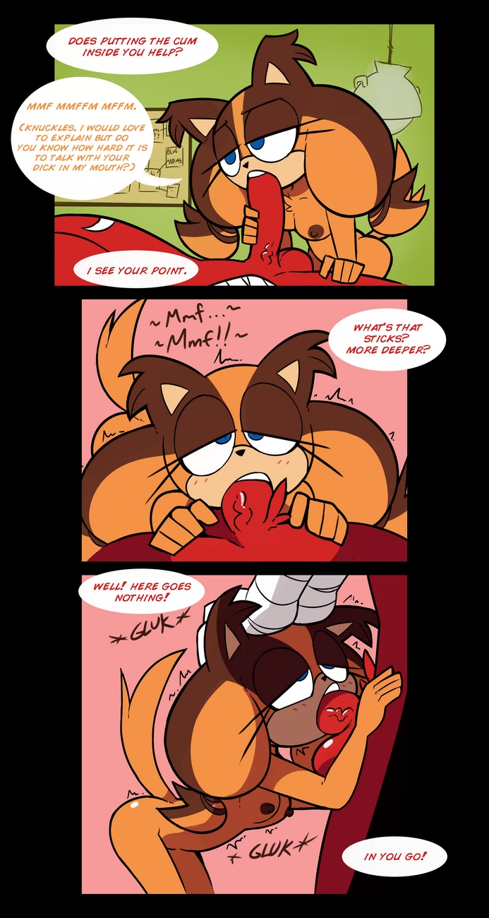 Sticks &amp; Knuckles Cartoon Porn Comic 005