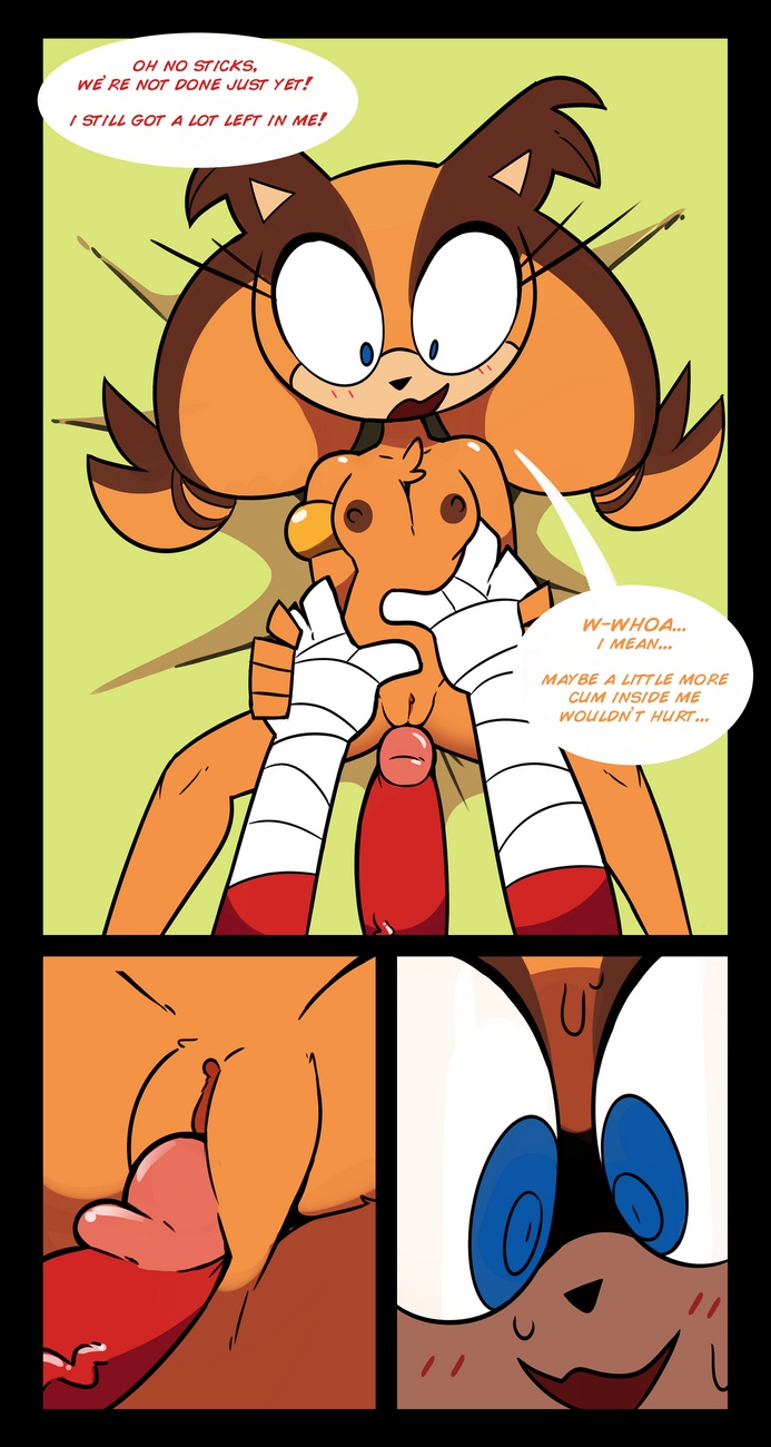 Sticks &amp; Knuckles Cartoon Porn Comic 007