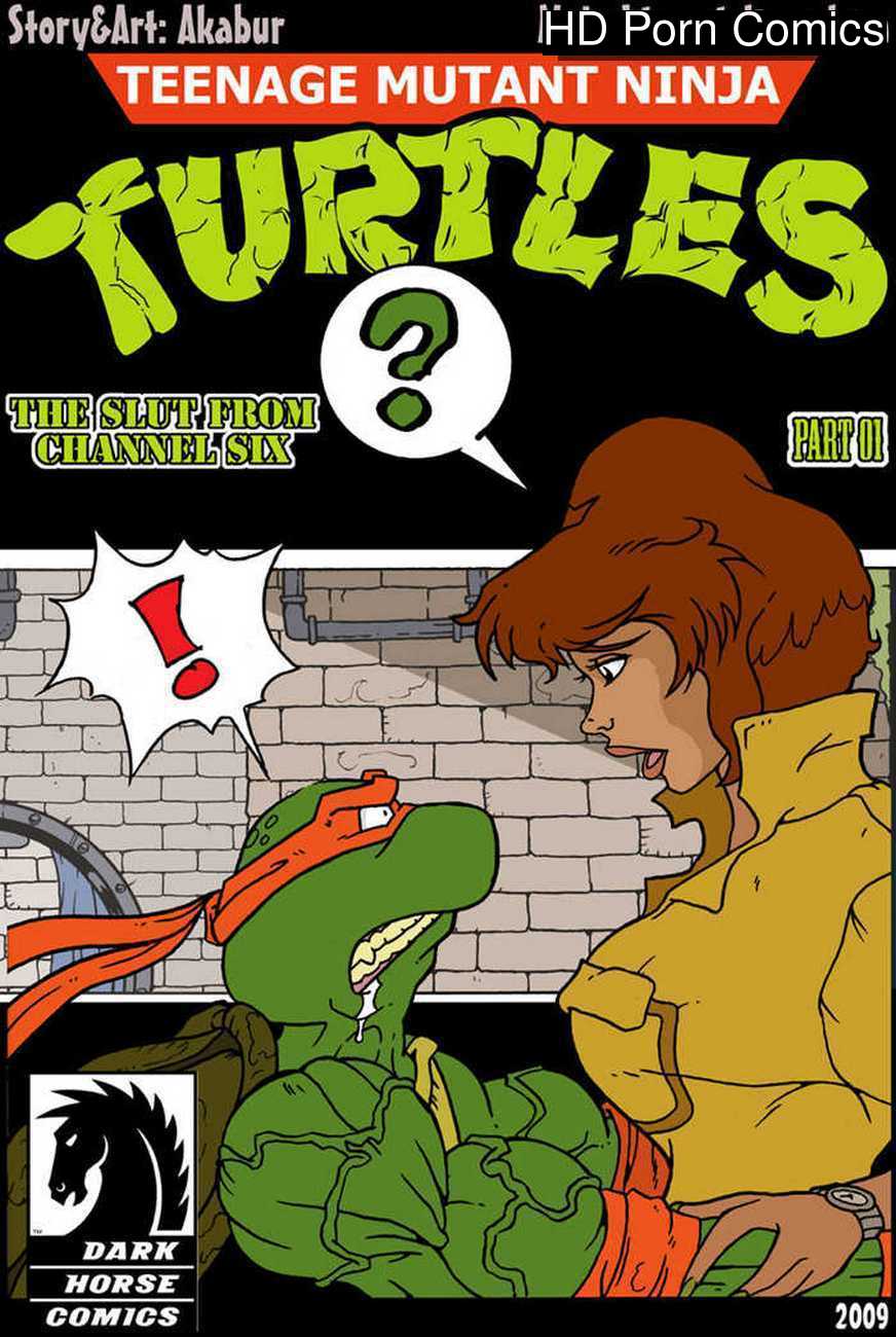 The Slut From Channel Six 1 - Teenage Mutant Ninja Turtles Cartoon Comic 001