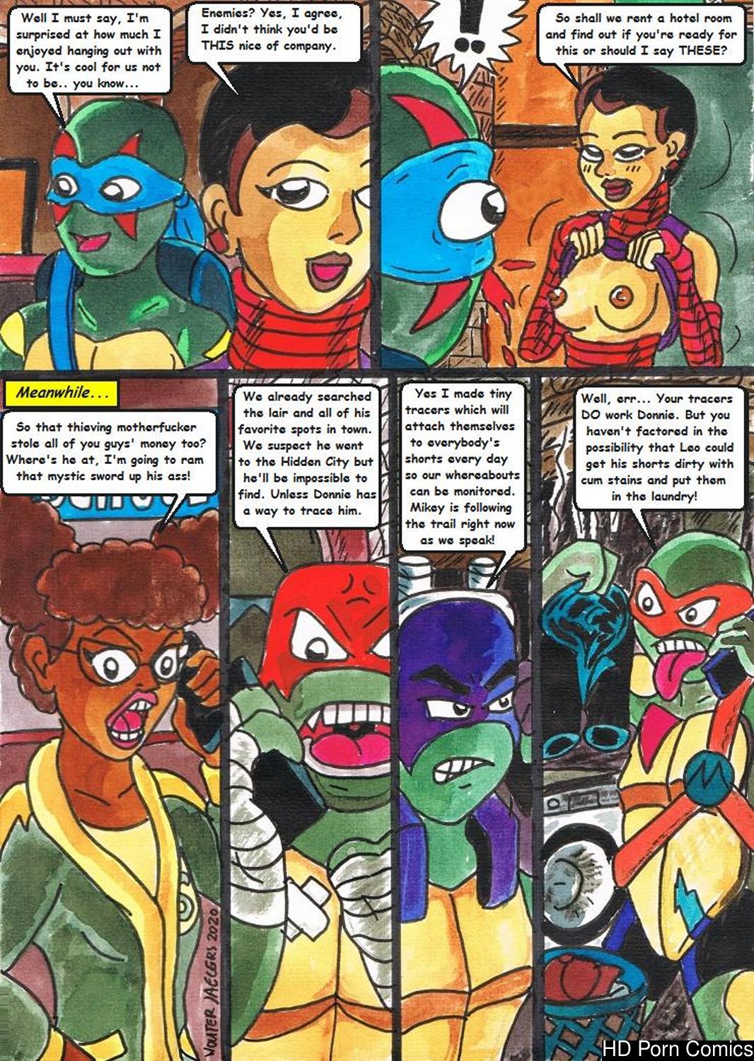 Rise Of The Teenage Mutant Ninja Turtles - Quiet Time Porn Comic 008