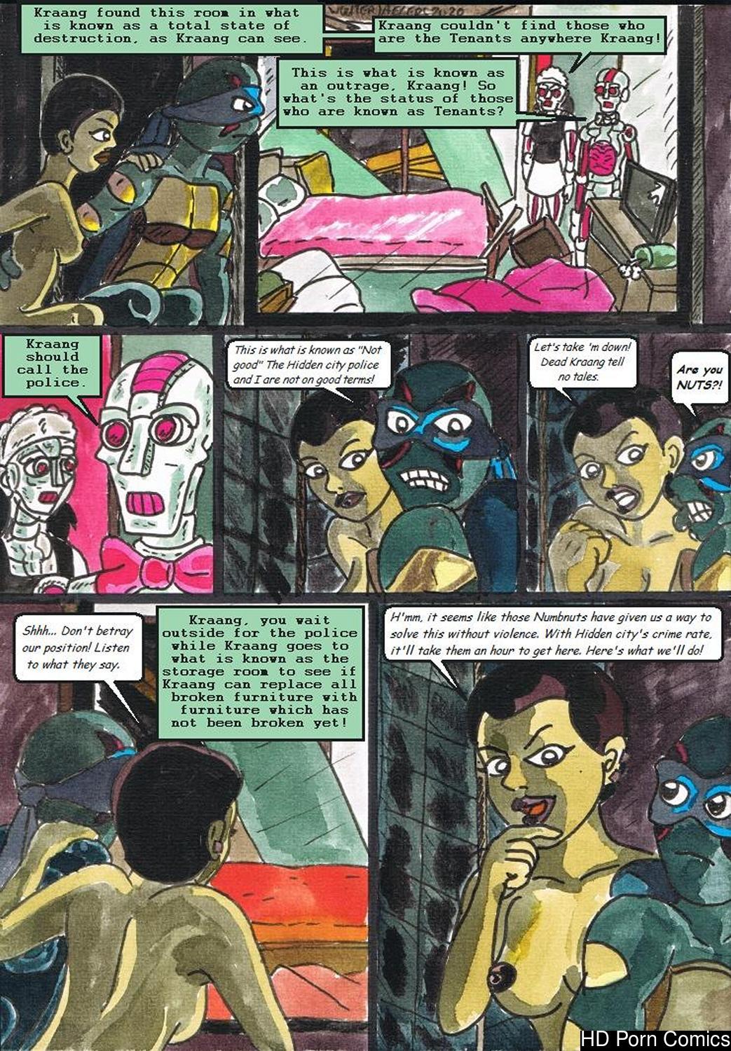 Rise Of The Teenage Mutant Ninja Turtles - Quiet Time Porn Comic 015